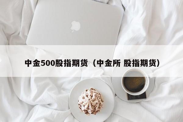 中金500股指期货（中金所 股指期货）