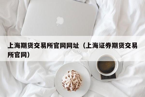 上海期货交易所官网网址（上海证券期货交易所官网）