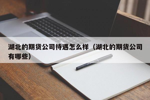 湖北的期货公司待遇怎么样（湖北的期货公司有哪些）